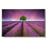 Homemania Muurfoto, motief: bloemen, natuur en landschap, voor woonkamer, slaapkamer, meerkleurig, 45 x 3 x 70 cm, HM20KNV45 x 70 – 218, polyester, hout