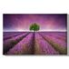 Homemania Muurfoto, motief: bloemen, natuur en landschap, voor woonkamer, slaapkamer, meerkleurig, 45 x 3 x 70 cm, HM20KNV45 x 70 – 218, polyester, hout
