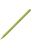 Conté a Paris 2144 - Pastelpotlood, Pastels met hoge kleurkracht, hoge lichtechtheid, levendige kleuren, gemakkelijk te mengen, ø 8,5 mm, Stift 5mm - St Michel Green