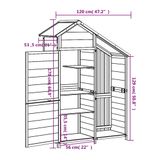 vidaXL Tuinschuur 120x53,5x170 cm massief grenenhout bruin