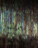 Komar Colours Fotobehang Dark Wings - Behang - Inclusief Lijm - 200 x 250 CM