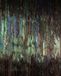 Komar Colours Fotobehang Dark Wings - Behang - Inclusief Lijm - 200 x 250 CM