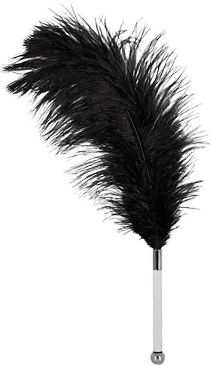 Bad Kitty Veer zwart acryl - 4024144246977