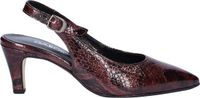 Gabor dames pump - Bordo - Maat 39