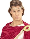 Finidi Widmann Romeinse laurierkrans - Goudkleurige kroon voor volwassenen
