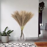 Ibenzoa® Herbe de pampa artificielle style bohème, 7 pièces, 100 cm, grandes fleurs séchées pour décoration élégante à la maison et pour mariage