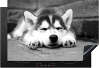 Merkloos KitchenYeah® Inductie beschermer 77x51 cm - Husky puppy slaapt - zwart wit - Inductie kookplaat accessoire