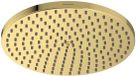 Hansgrohe Raindance S Hoofddouche, diameter 24 cm, EcoSmart, gepolijste goudlook