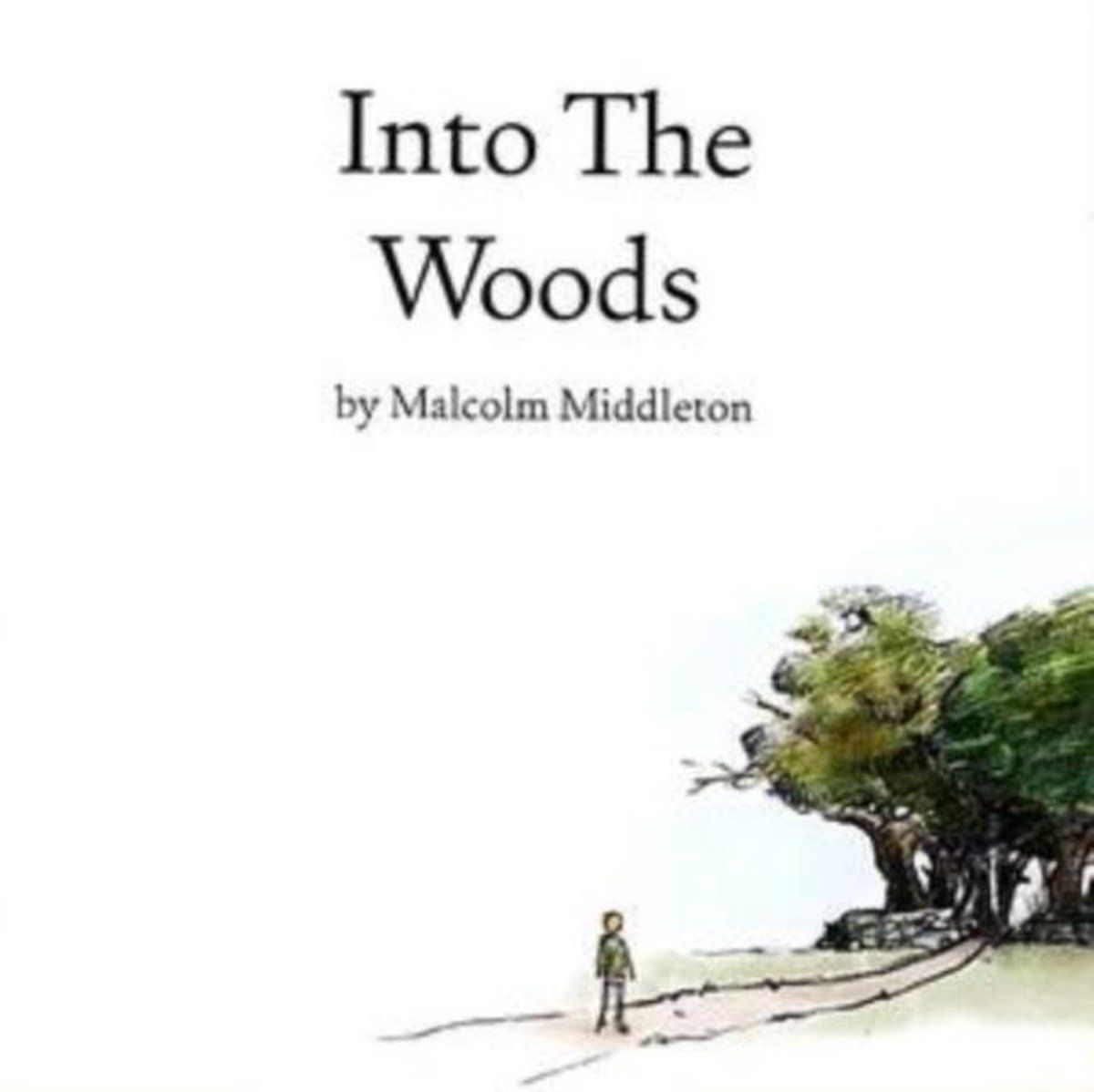 Konkurrent Malcolm Middleton - Into The Woods