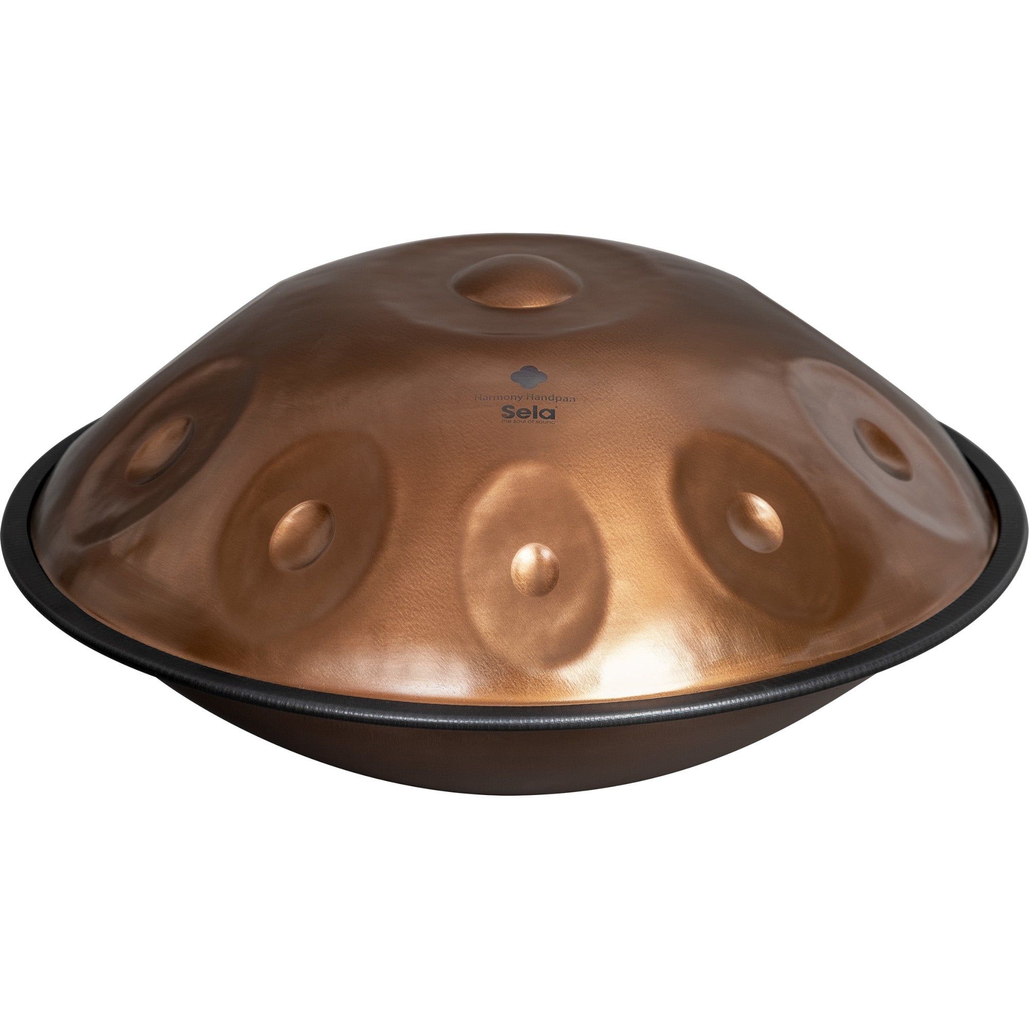 Sela SE 320 Harmony Handpan D Kurd 10 Phoenix Steel
