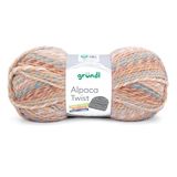 Gründl Wol Alpaca Twist - dikke wol met alpaca voor breien en haken - zacht en huidvriendelijk - 80% polyacryl, 20% alpaca - 1 bol 100 g / 170 m - naalddikte 6-7 - beige-lichtblauw