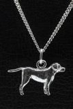 MOOYE ® - Collectie Zilveren Entlebucher sennenhond met staart ketting hanger - groot