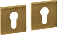 Intersteel Rosaces cylindriques cachées 53x53x6mm laiton PVD mat