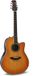 Ovation 2762BL-HB-G Pro Series Custom Balladeer Deep Contour Honey Burst elektrisch-akoestische westerngitaar