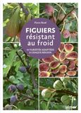 Figuiers résistant au froid - 44 variétés adaptées à chaque région