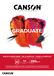 Canson Schilderspapier Graduate 20 vel 290gr A4 Wit | 5 stuks