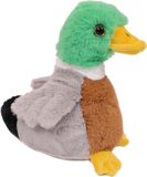 Pia Soft Toys Knuffeldier Wilde Eend - zachte pluche stof - kleurenmix - kwaliteit knuffels - 16 cm - Eenden - Vogels