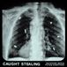Caught Idles - Caught Stealing (CD) (Original Soundtrack)