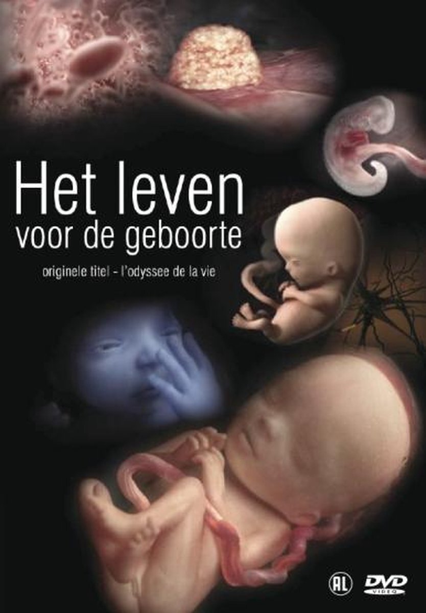 B-MOTION Leven Voor De Geboorte (DVD)