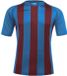 Acerbis JOHAN STRIPED S/SL JERSEY Kinder voetbalshirt Royal Blue/Bordeaux
