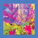 The Pinks Reds & Purples The Past Is A Garden I Never Fed (CD)