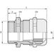 LAPP 53015370 Wartel PG36 Polyamide Zwart (RAL 9005) 10 stuk(s)