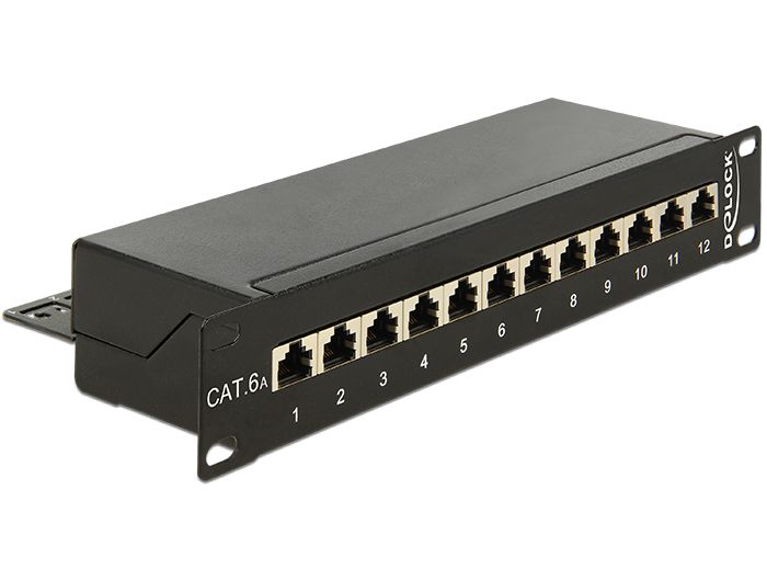 DeLOCK 43310 - Patchpaneel - Zwart