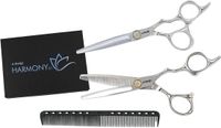 E-Kwip Harmony Set Zilver