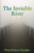 THE Bol The Invisible River Paperback