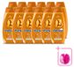 Schwarzkopf 12 x Argan Oil & Repair Shampoo - Pour cheveux secs et abîmés - 400 ml - Lot économique