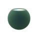 Apple HomePod mini 2 Groen