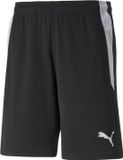 Puma Teamliga short d'arbitre Homme - Noir | Taille : M