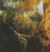 Bertus Distributie John Zorn In Search Of The Miraculous
