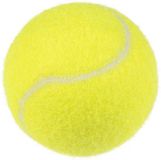 Flamingo Pet Products Balle de tennis Smash Jaune ø8cm 2 Pièces
