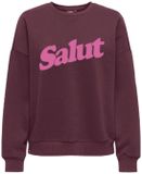 Only Trui Onlzalenta Boxy L/s Box Cs Swt 15382701 Fig/salut (fiji Flower) Dames Maat - XL