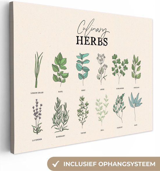 OneMillionCanvasses Canvas schilderij 160x120 cm - Kruiden - Planten - Herbs - Groen - Vintage - Muurdecoratie