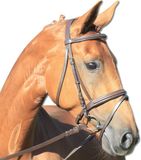 Waldhausen STAR hoofdstel lifestyle Bruin Pony Gel Bitloos