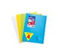 Clairefontaine 981640AMZC - Set van 4 Geniete Koverbook Schriften - 24x32 cm - 96 Pagina's Kleine Vierkante Ruitjes - Wit Papier 90 g - Polypro Cover (Blauw, kleurloos, Geel en Groen)