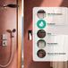Hansgrohe Raindance Alive S - Hoofddouche, diameter 30 cm, 2 stralen, EcoSmart, gepolijste goudlook 24541990