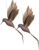 Othmar Decorations Oiseaux colibris sur clip - 2 pièces - champagne - 22 x 4,5 cm