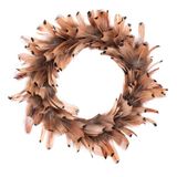 GLOREX 6 3821 304 - Verenkrans van fazantenveren, ca. Ø 18 cm, geschikt als tafel-, muur- of deurdecoratie