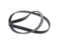 Continental CONTITECH 5PK1150 V-riem met ribben