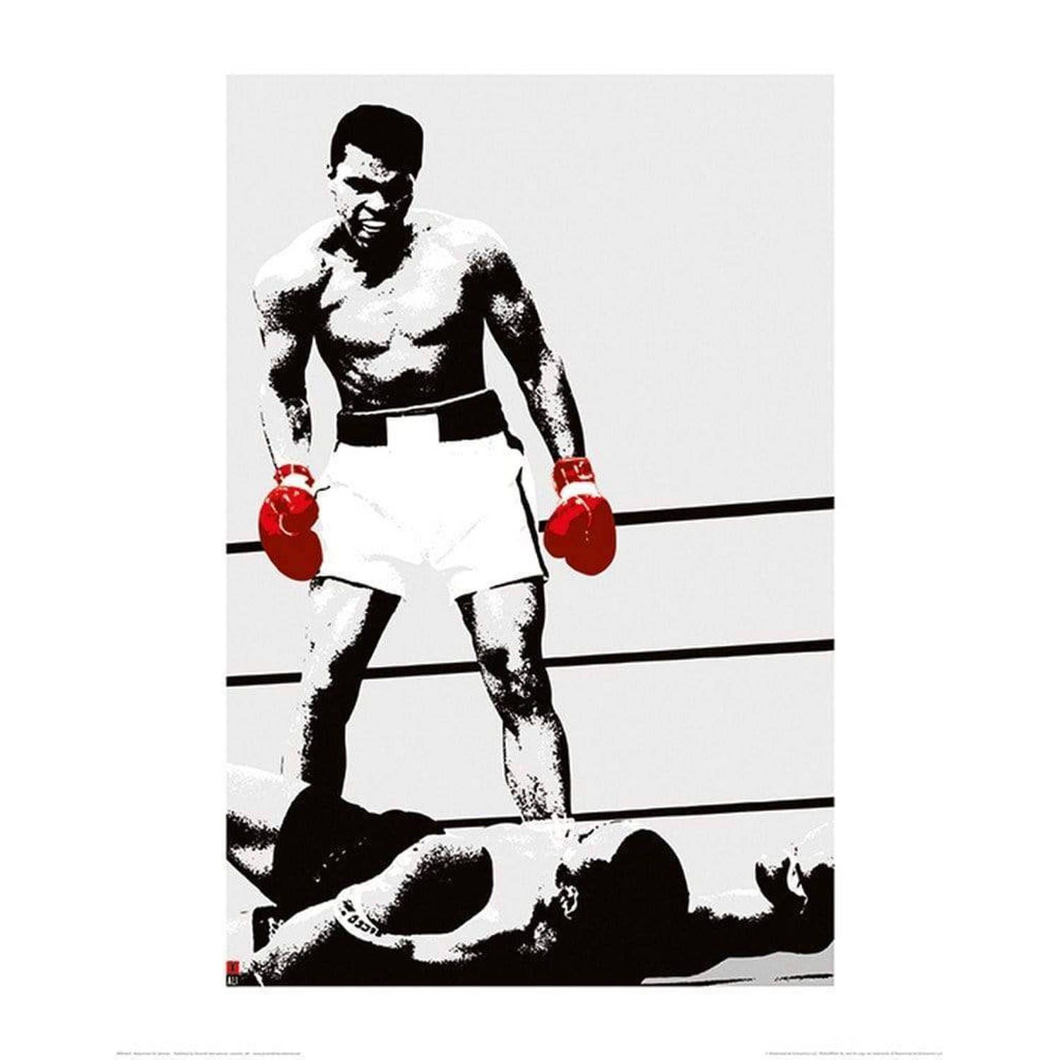 Pyramid Muhammad Ali Gloves Art Print 40x50cm