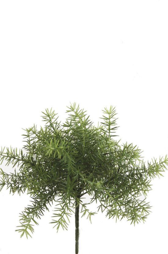 Emerald Asparagus Bush Lt Green kunstplant