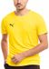 PUMA Sportshirt Heren - teamRISE - Geel - Polyester