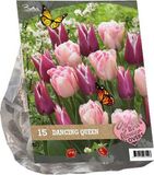 Baltus Urban Flowers Dancing Queen Tulpenbollen - 15 stuks
