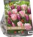 Baltus Urban Flowers Dancing Queen Tulpenbollen - 15 stuks