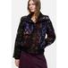 Desigual winterjas met print - meerkleurig