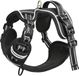 Harnais pour chien matelassé réfléchissant avec poignée pour dressage de chien - Noir