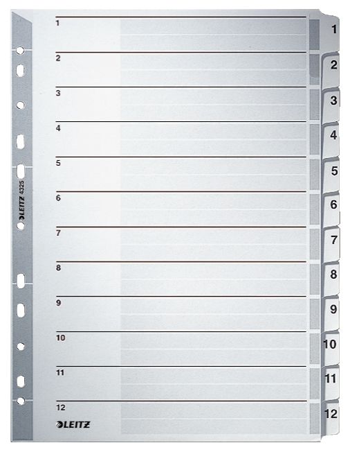 Leitz 43250000 Indextabs grijs Karton 29,70 cm